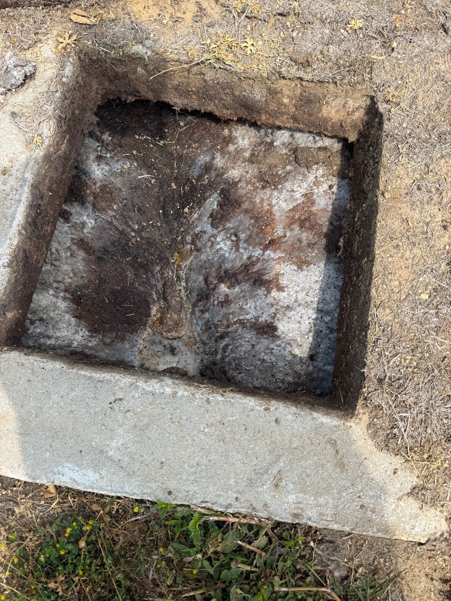 Drain Field Restoration for Masse Septic & Plumbing in Sylvania, GA