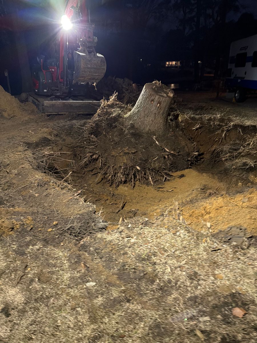 Tree Removal for Tidewater Tree Service in Chesapeake, VA