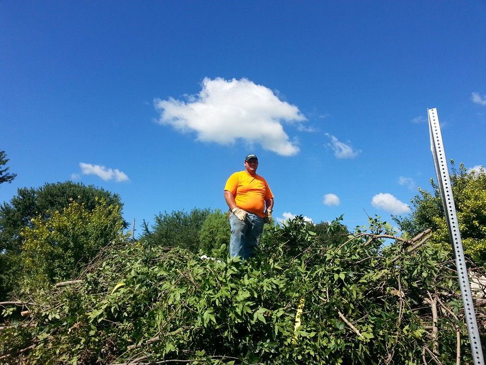 Tree Trimming for Moyer Mowing & Trucking in Clarksville,, IA