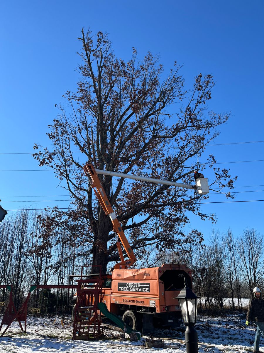 Tree Trimming for Curtis Tree Service LLC in Hopkins County, KY