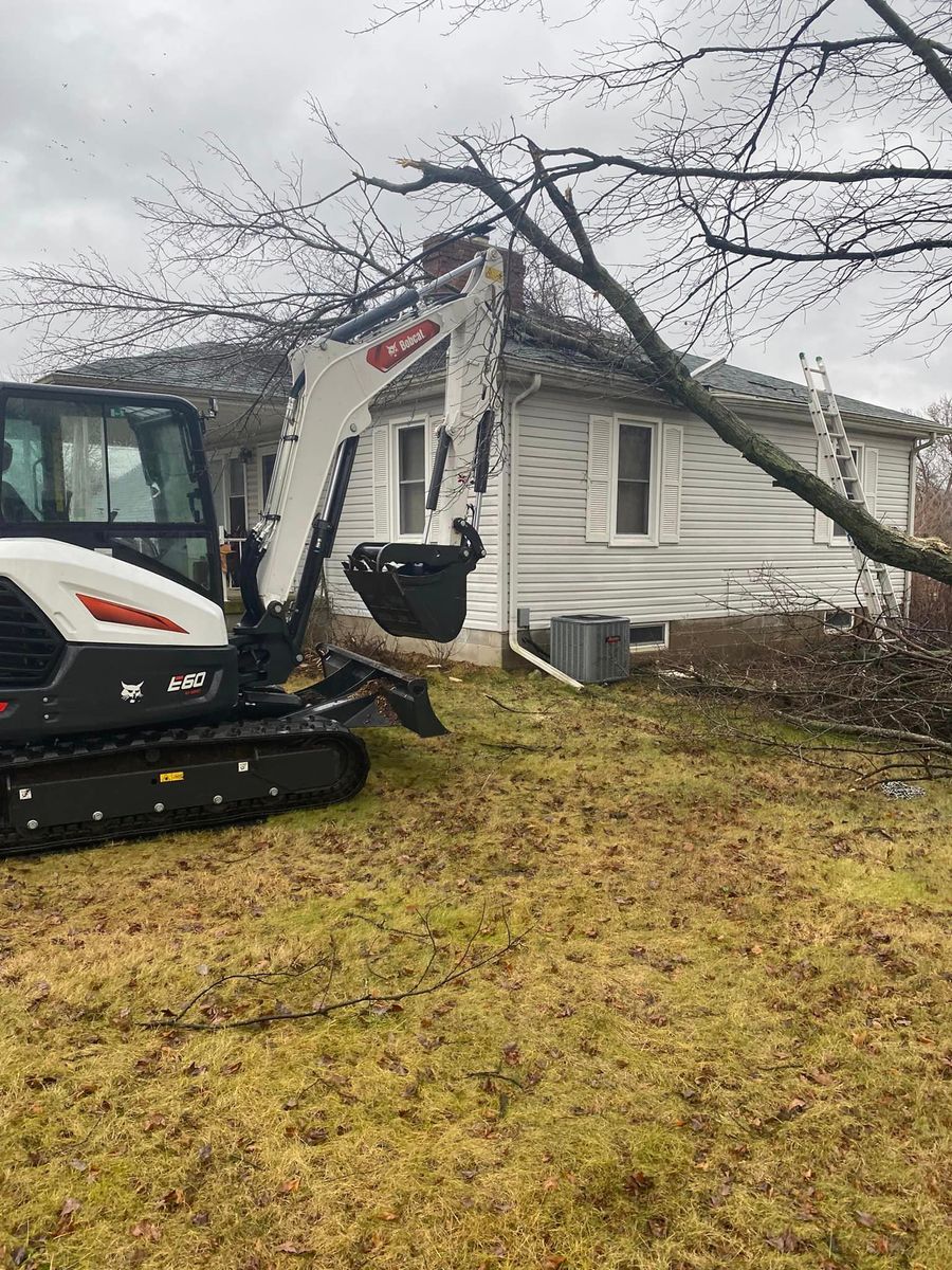 Tree Removal for SMITHs Tree Service in Columbus, IN