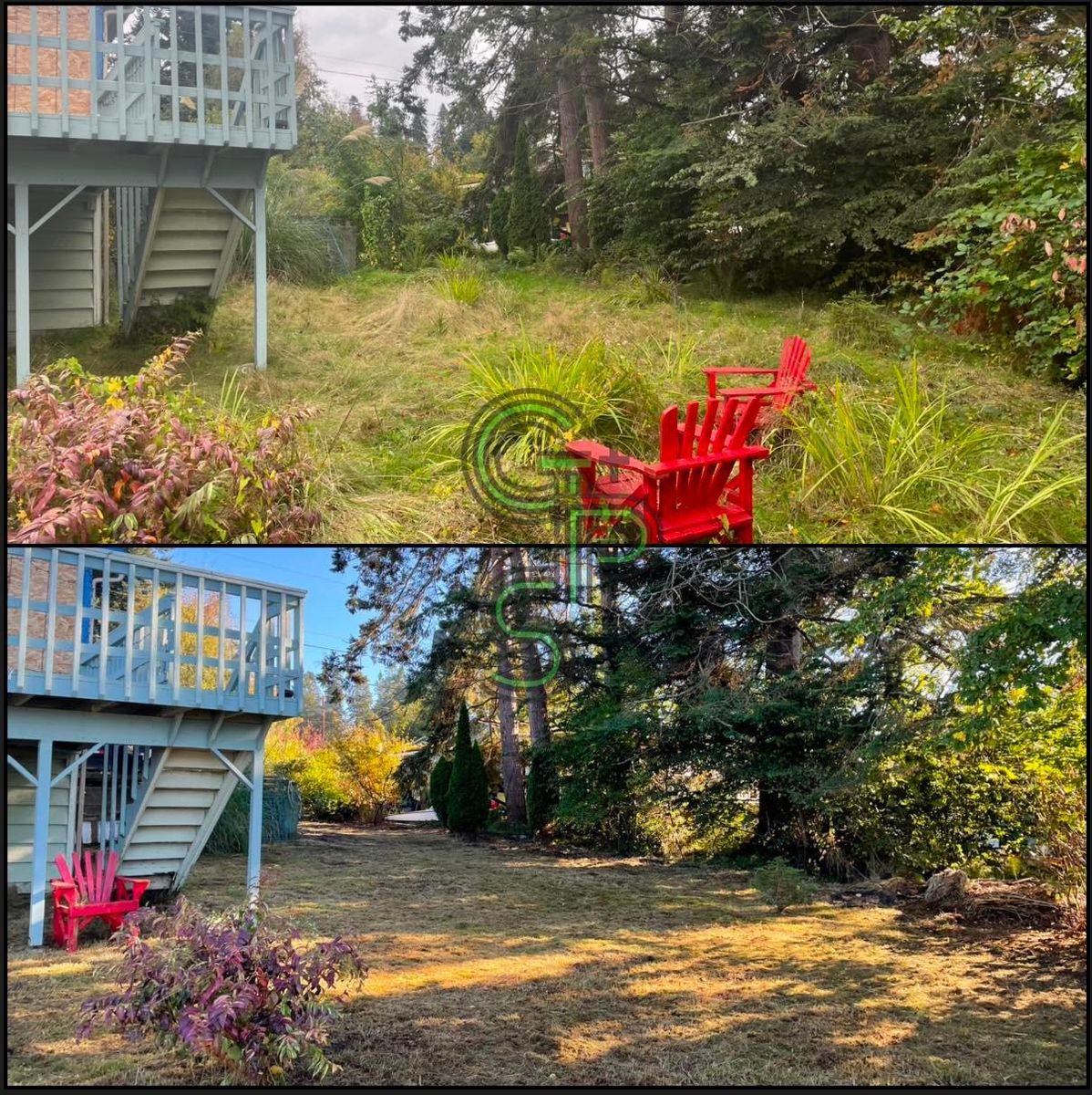 Property Clean-Up for Golovin Property Services LLC in Marysville, WA