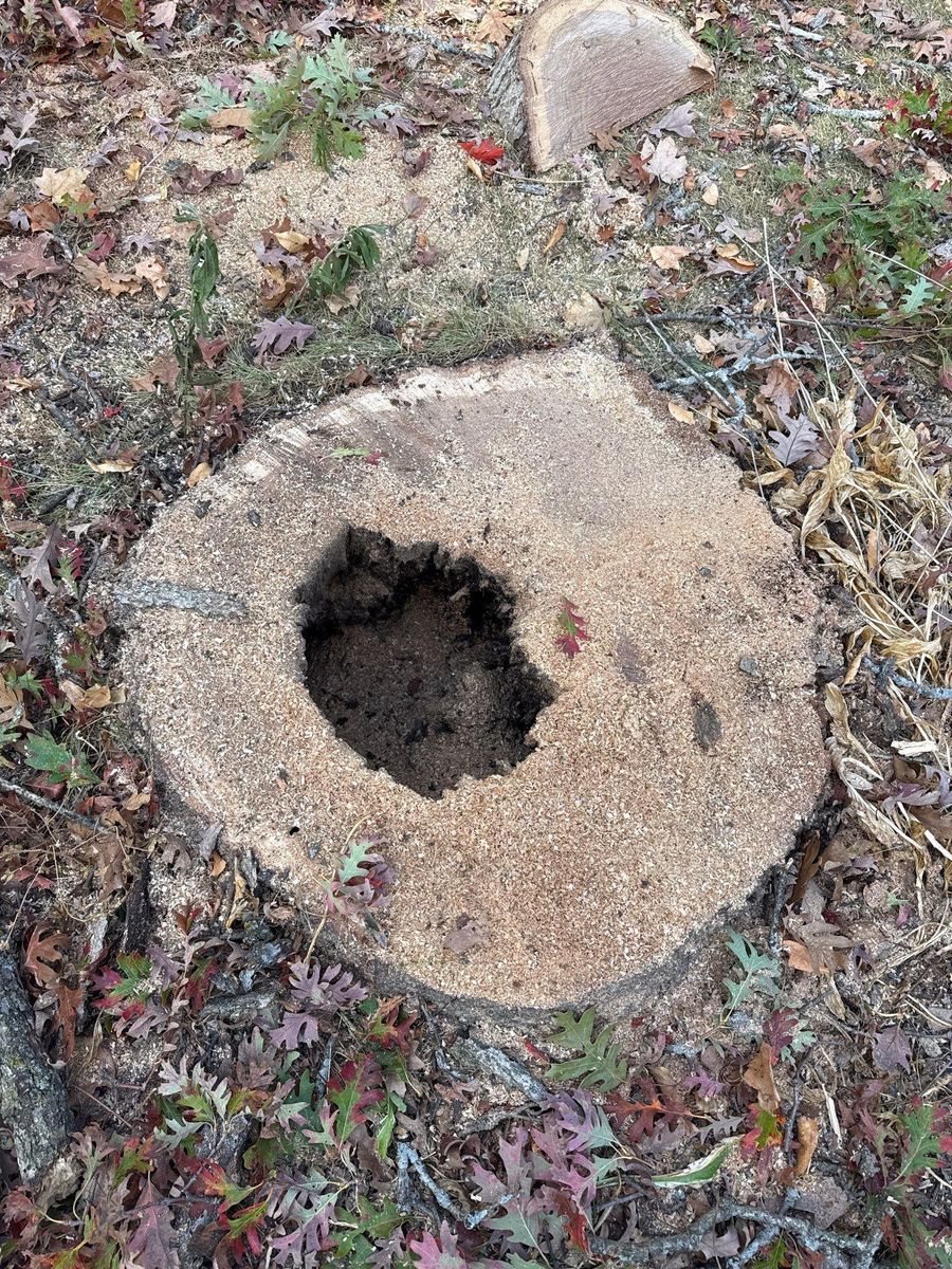 Stump Removal for Fransen's Tree Service  in Freeport, IL