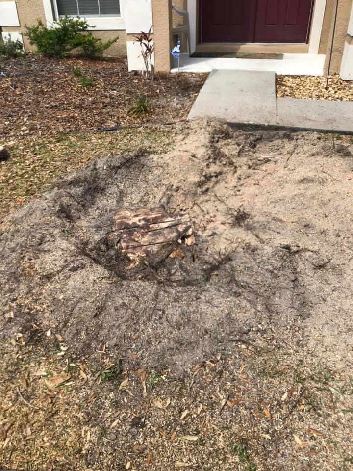 Stump Removal for Perfect MOs Landscaping in Hudson, FL
