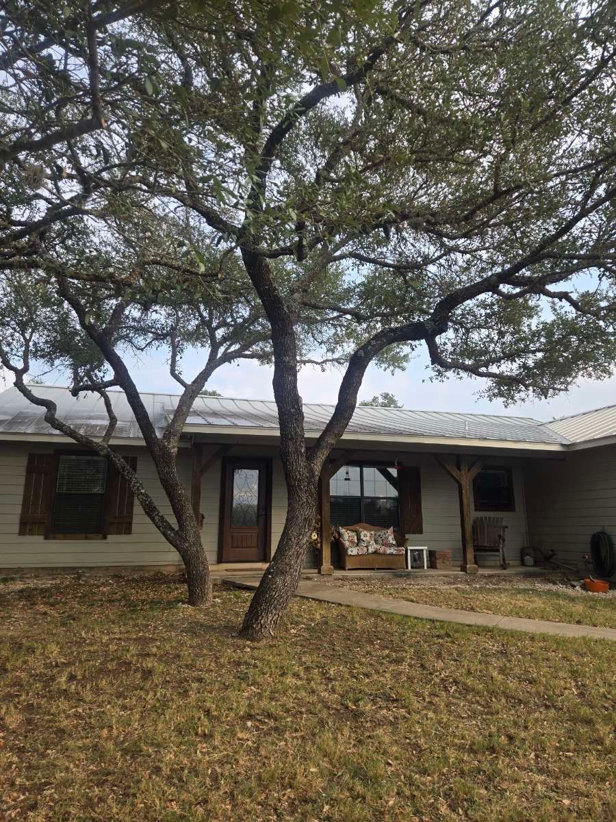 Tree trimming for Good and Green Landscaping in Canyon Lake, TX