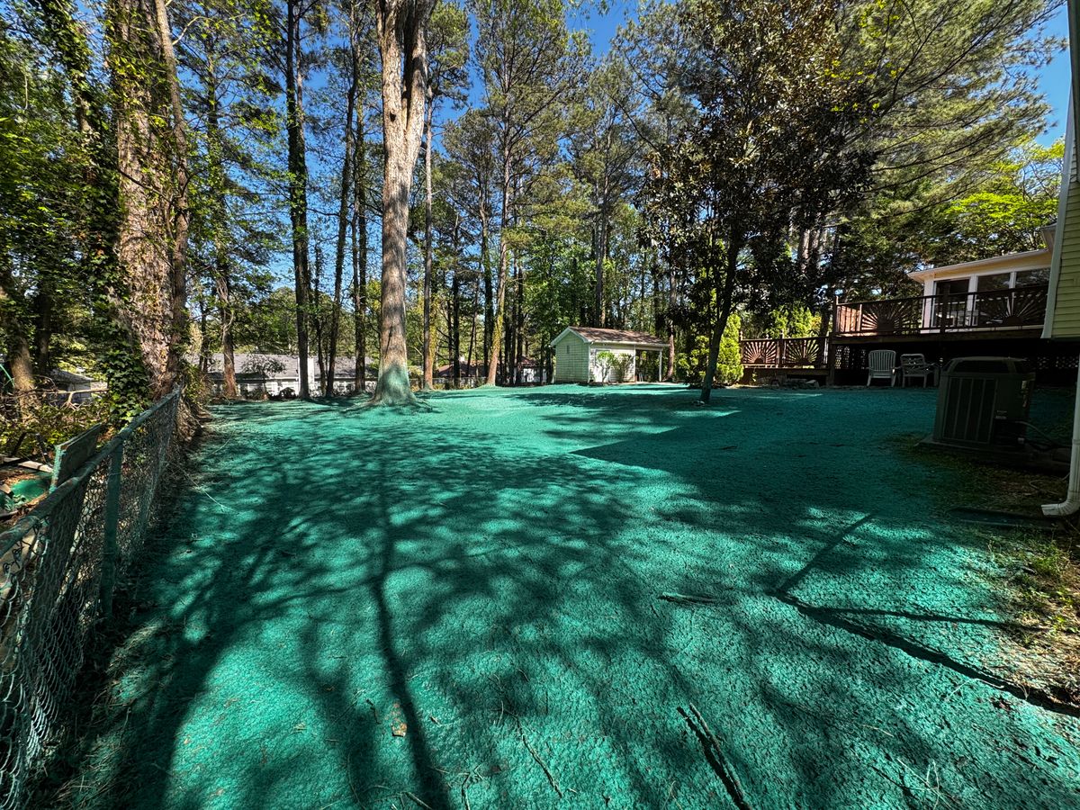 Hydroseeding for Deeply Rooted Lawns – Hydroseeding & Sod Installation Services in Winder, GA