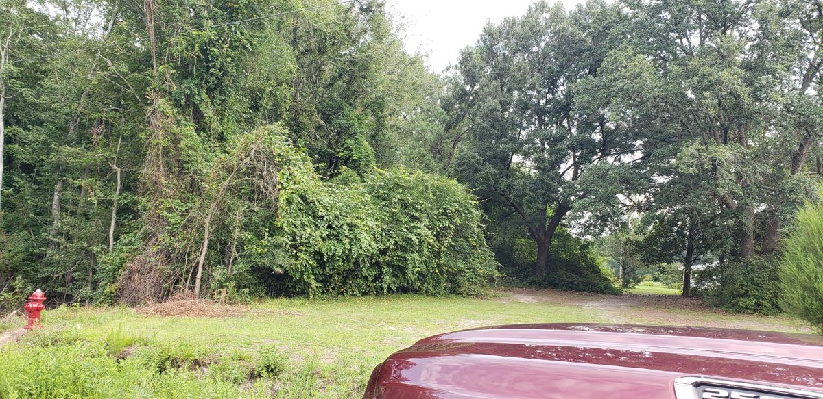 Forestry Mulching for TJ Farm and Land Management in Loris, SC