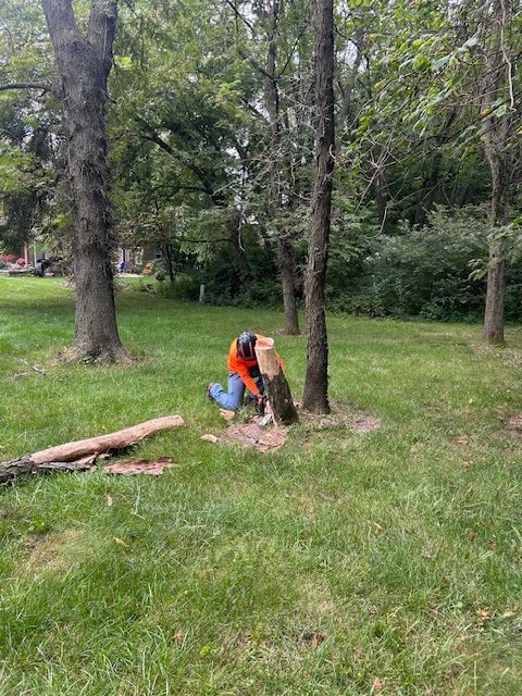 Land Clearing for Cross Family Tree Service in Kearney, MO