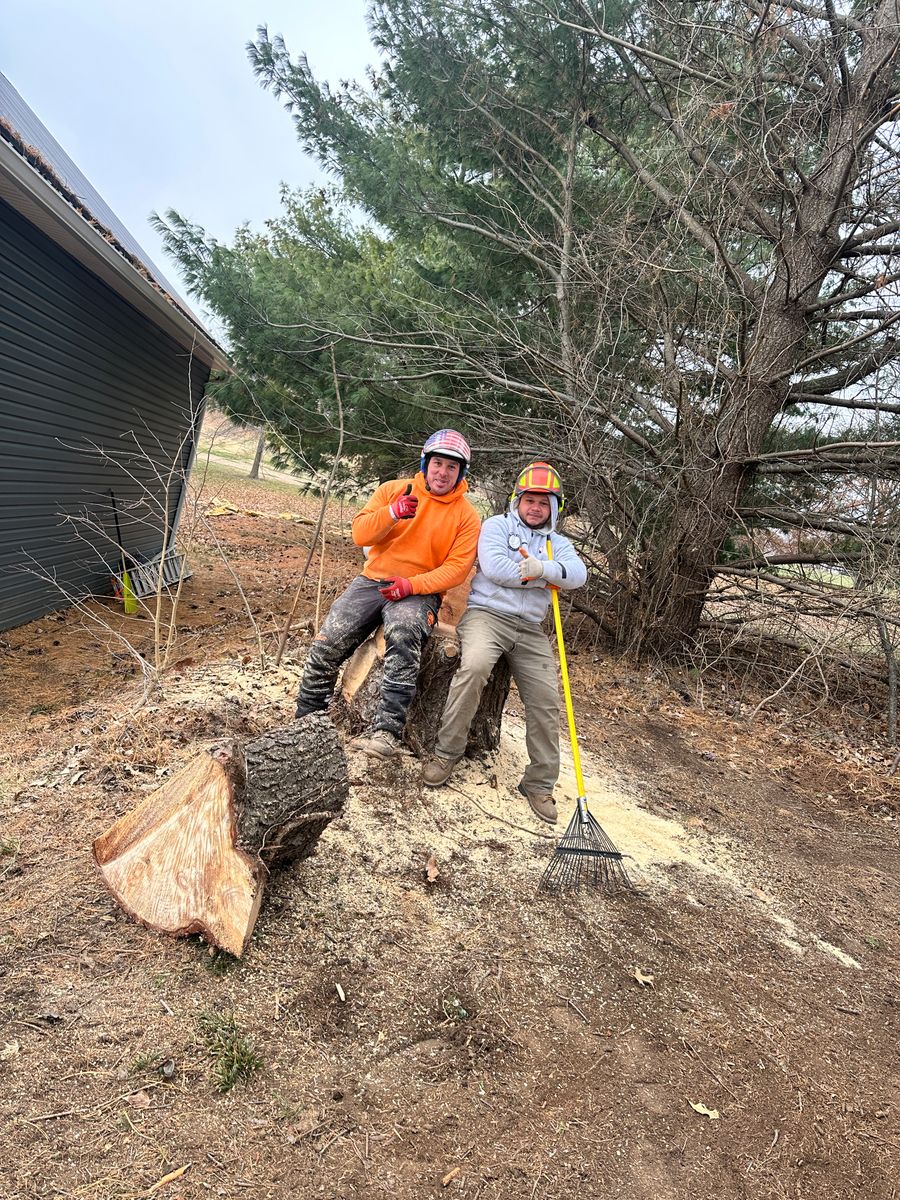 Land Clearing for Cross Family Tree Service in Kearney, MO