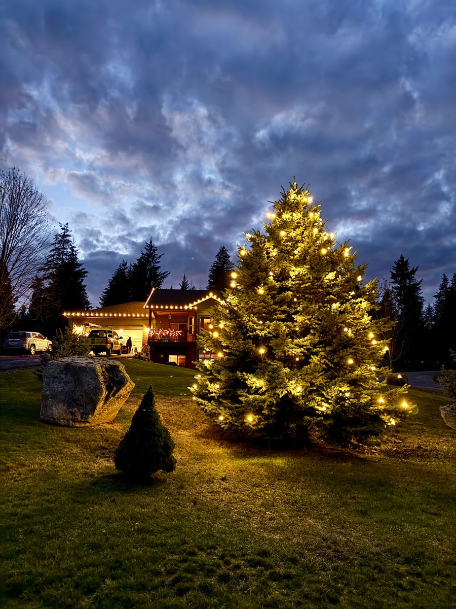 Christmas Lights for Swift Serve in Coeur d'Alene, ID