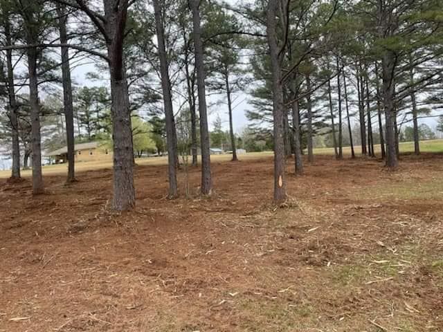 Forestry Mulching for Simmons land works in Sardis,, TN