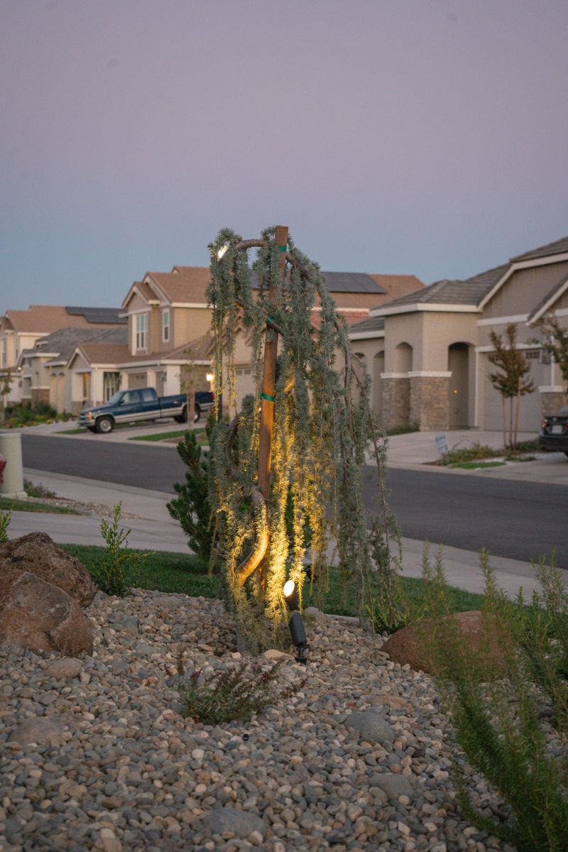 Landscape Installation for Diamond Landscape & Hardscape in Diamond Springs, CA