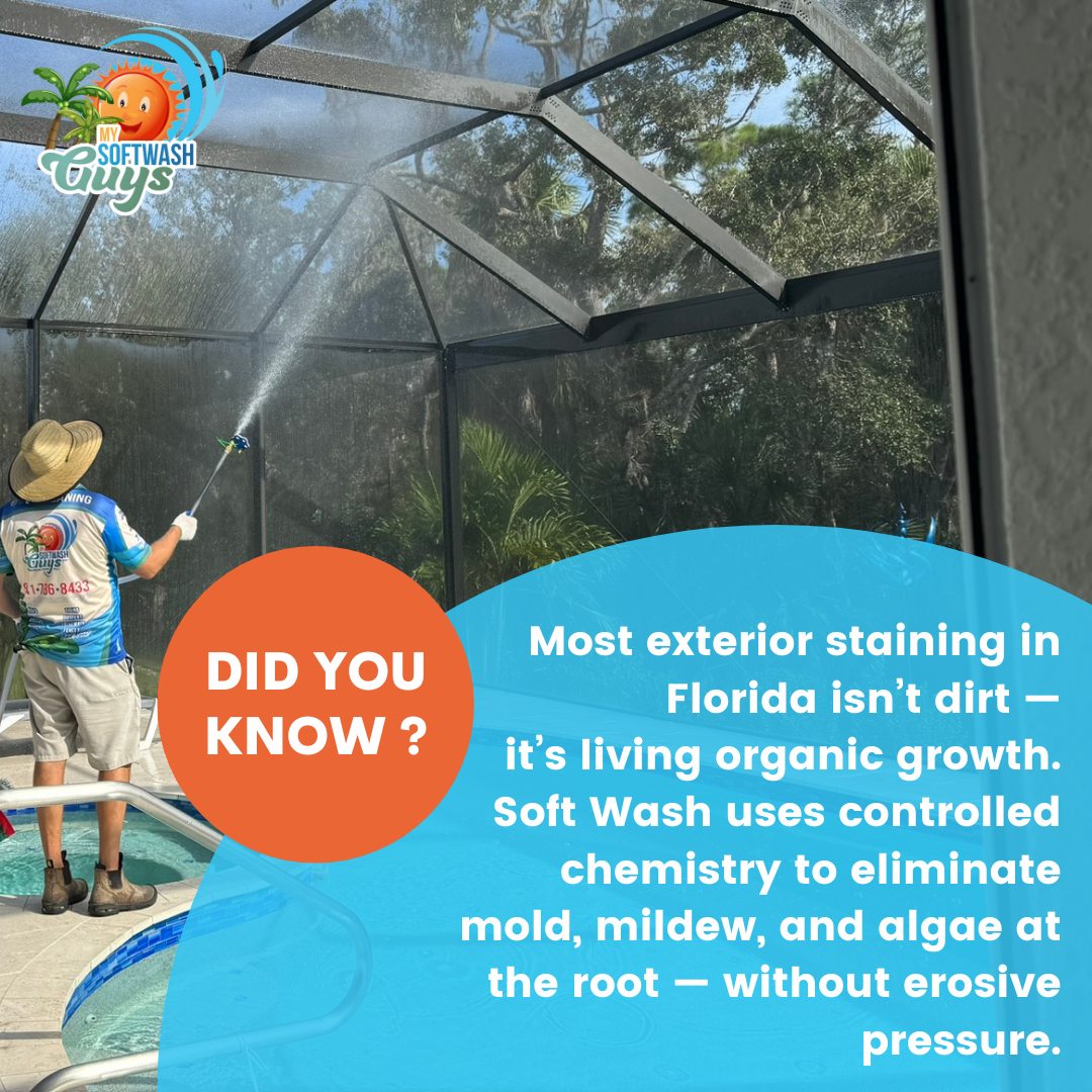 Sanitization Cleaning for My Soft Wash Guys in Venice, FL