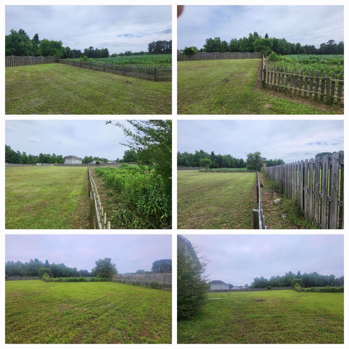 Brush Clearing for Heroy's Lawn Services in Jacksonville, North Carolina