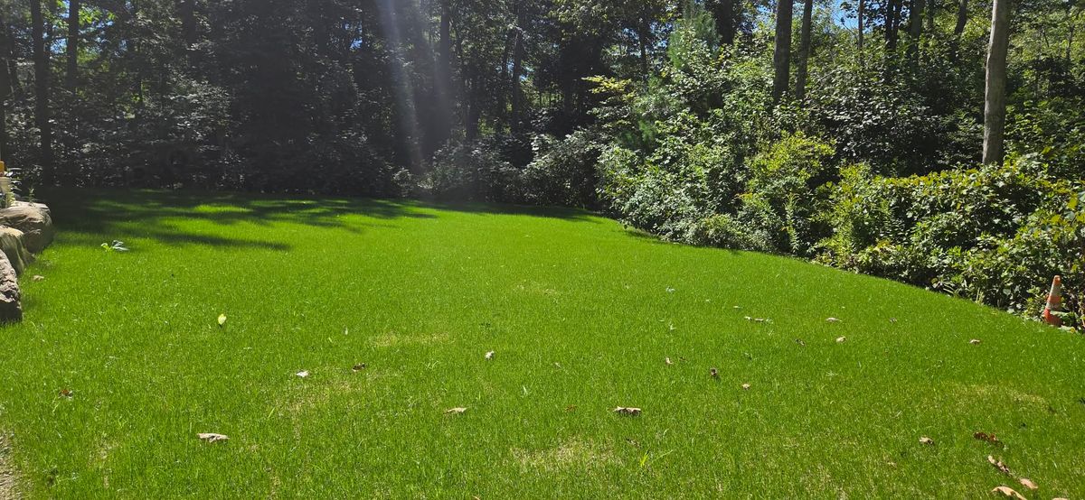 Sod Install for Witt Excavating in Hudson, NH