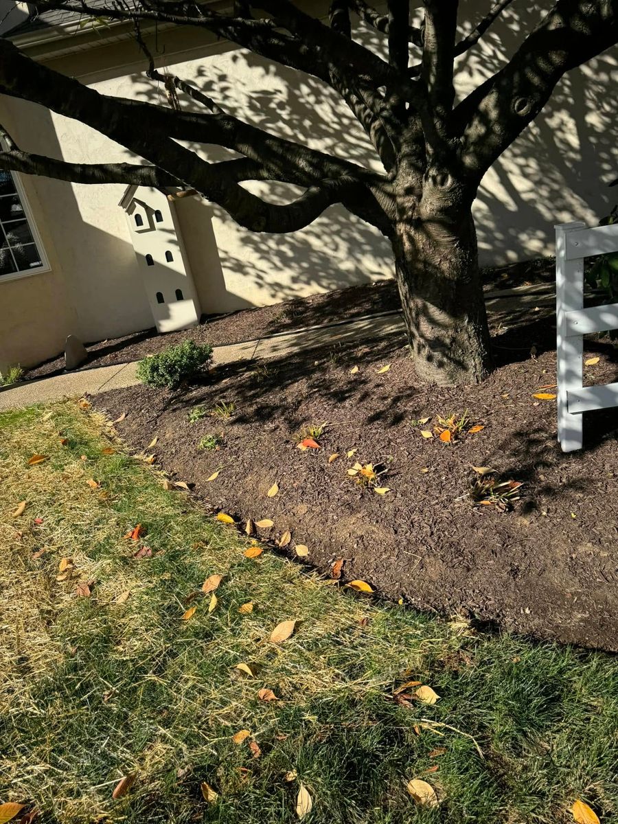 Leaf Removal Services for Landscape & Lawn Care Pros in Allentown, PA