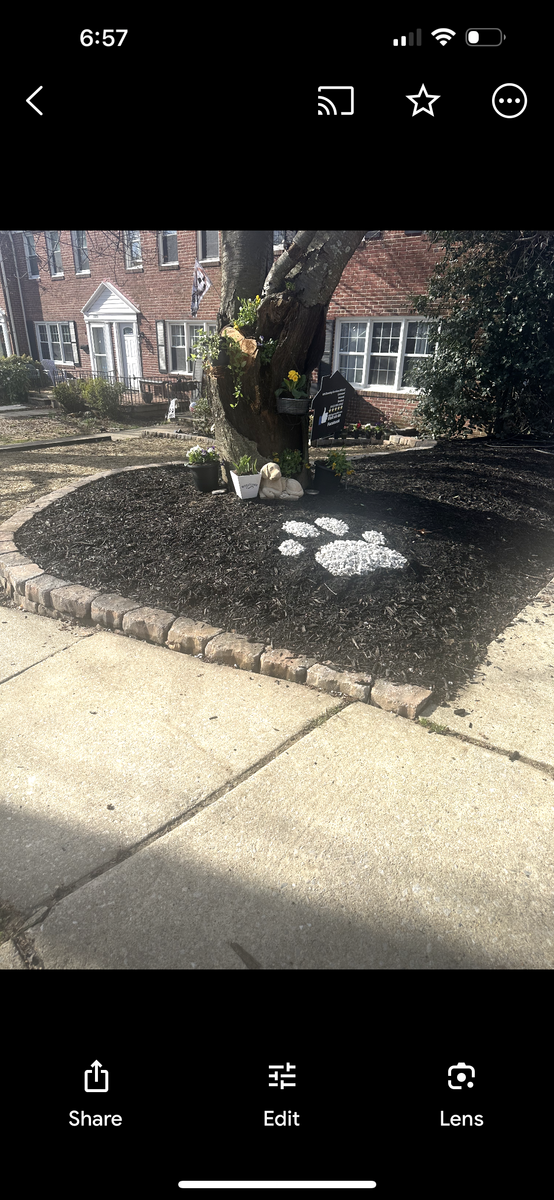 Garden edging and raised beds for Matteo Hardscapes in Towson,  MD