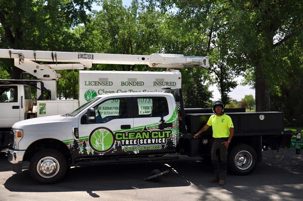 Tree Removal for Clean Cut Tree Service in Gillette, WY