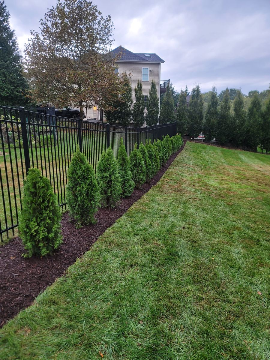 Landscaping for Antonio & Sons Contractors LLC in Elkton, MD