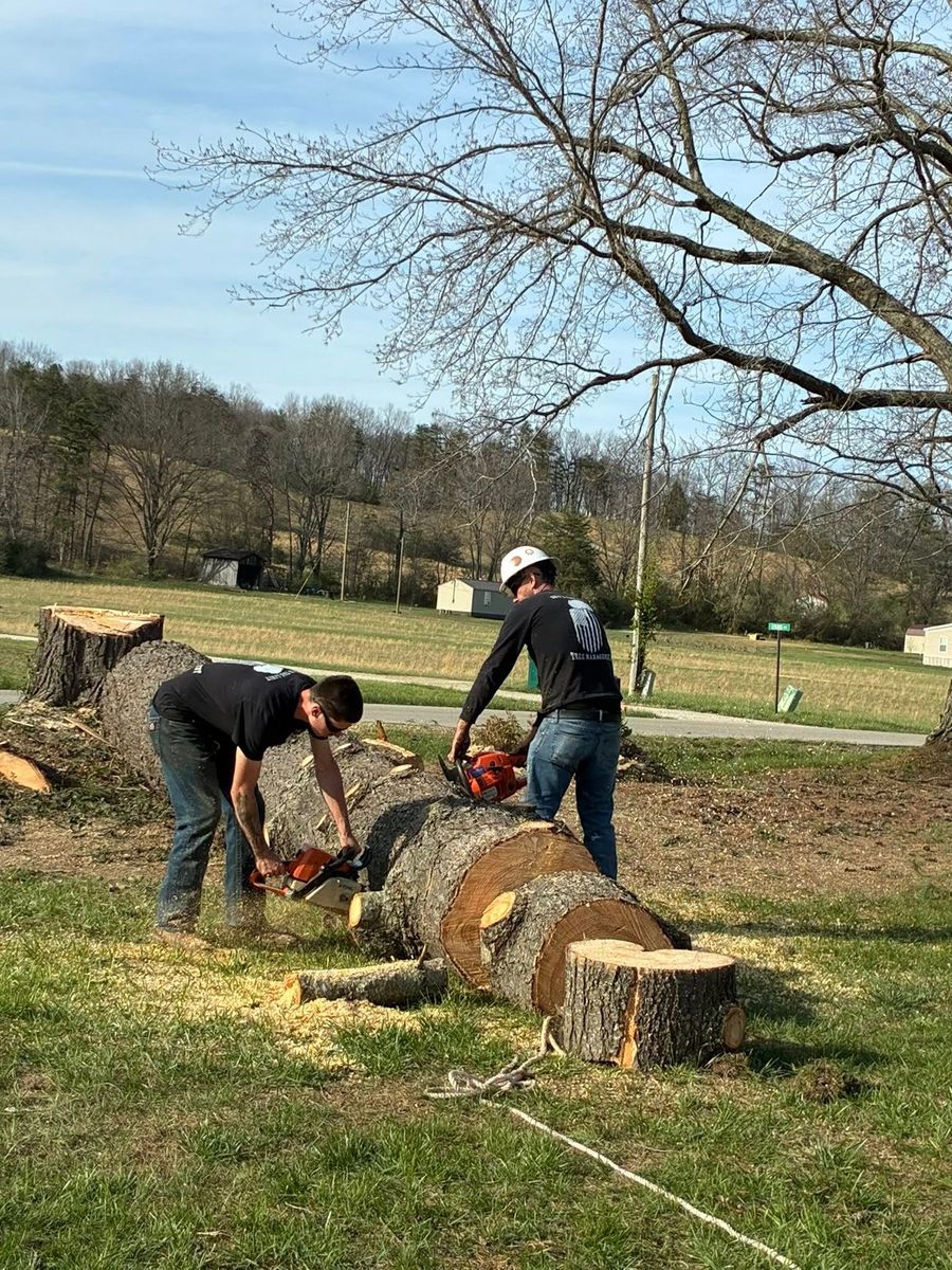 Tree Removal for Skys The Limit Tree Management in Morehead, KY