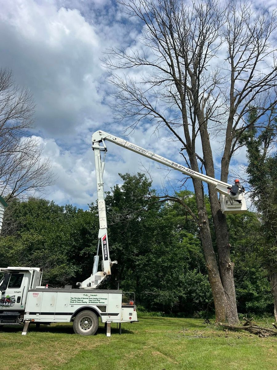 Tree Trimming for Baker Professional Services LLC in Shelbina, MO