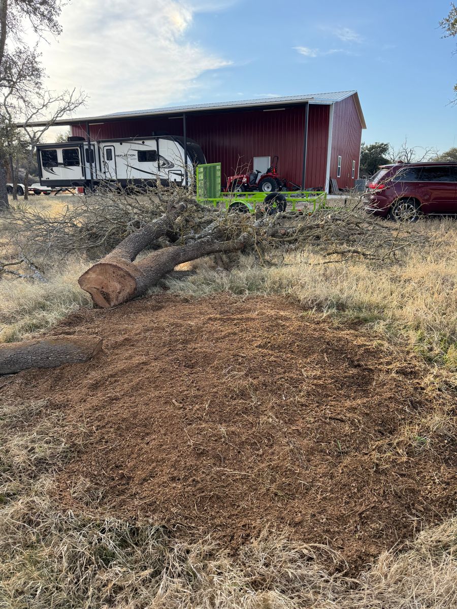 Tree Stump Grinding for Oakley’s Stump ‘N Grind in Leander, TX