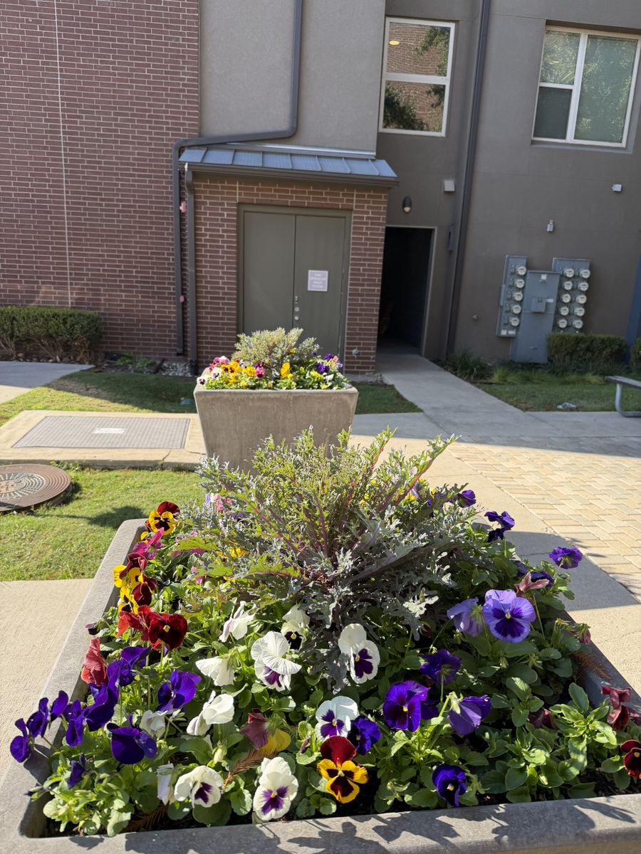 Seasonal color changes for Guerrero's Landscape in Fort Worth,  TX
