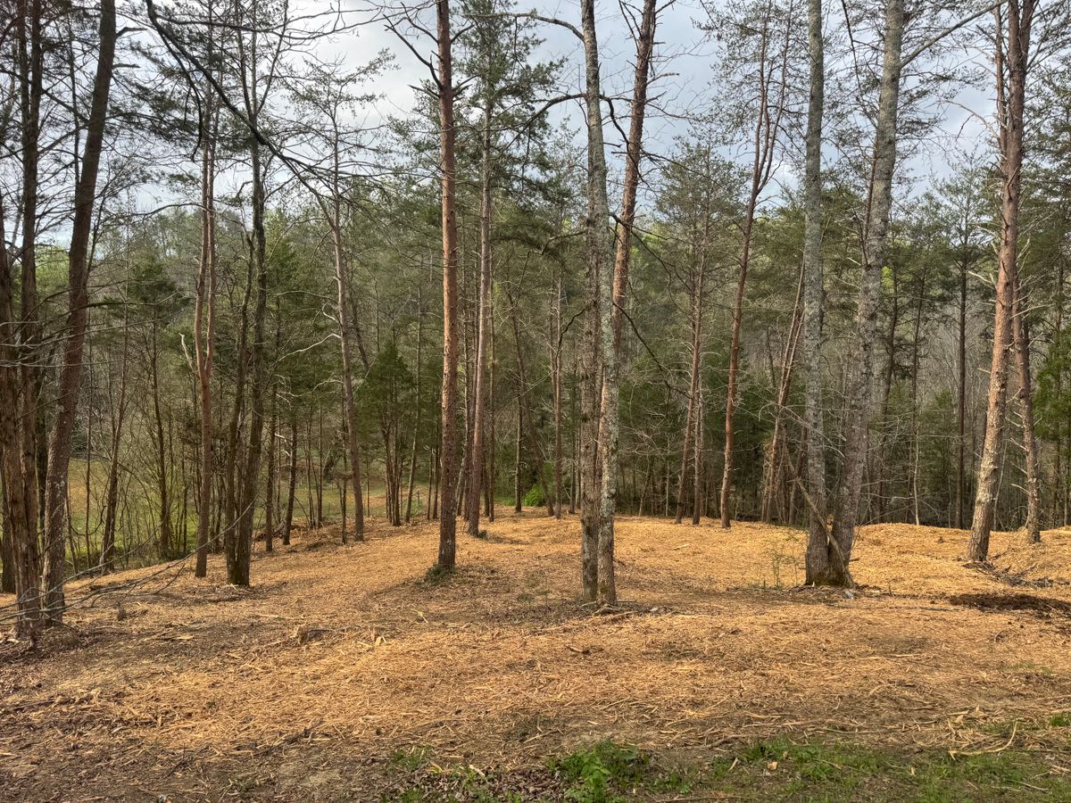 Land Clearing for Miller Farms Hay & Land Management in Knoxville, TN
