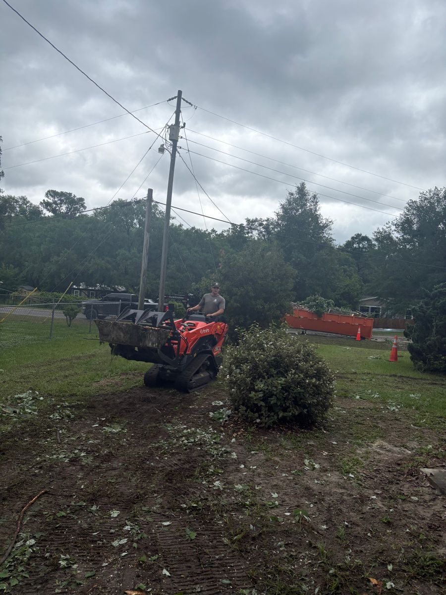 Fall Clean Up for Top Notch Tree Experts in Orange Park, FL