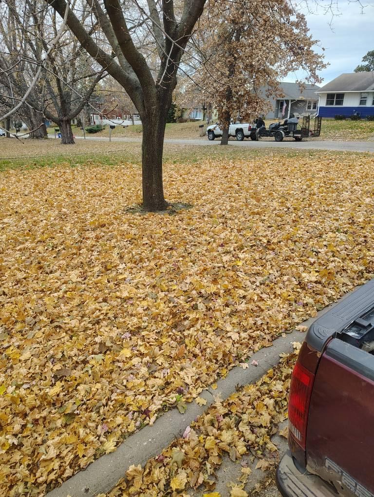 Tree Trimming for Big River lawn Care services and snow LLC in Wausau, WI