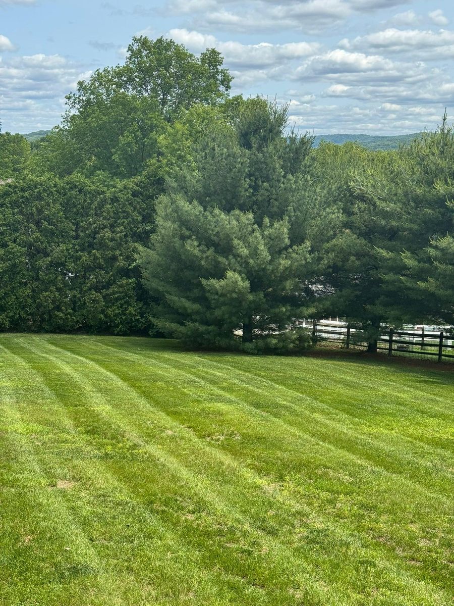 Property Maintenance for Landscape & Lawn Care Pros in Temple, PA