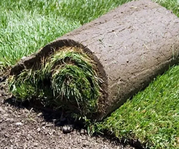 Sod installation for Bermuda Blades in Hope Mills, NC