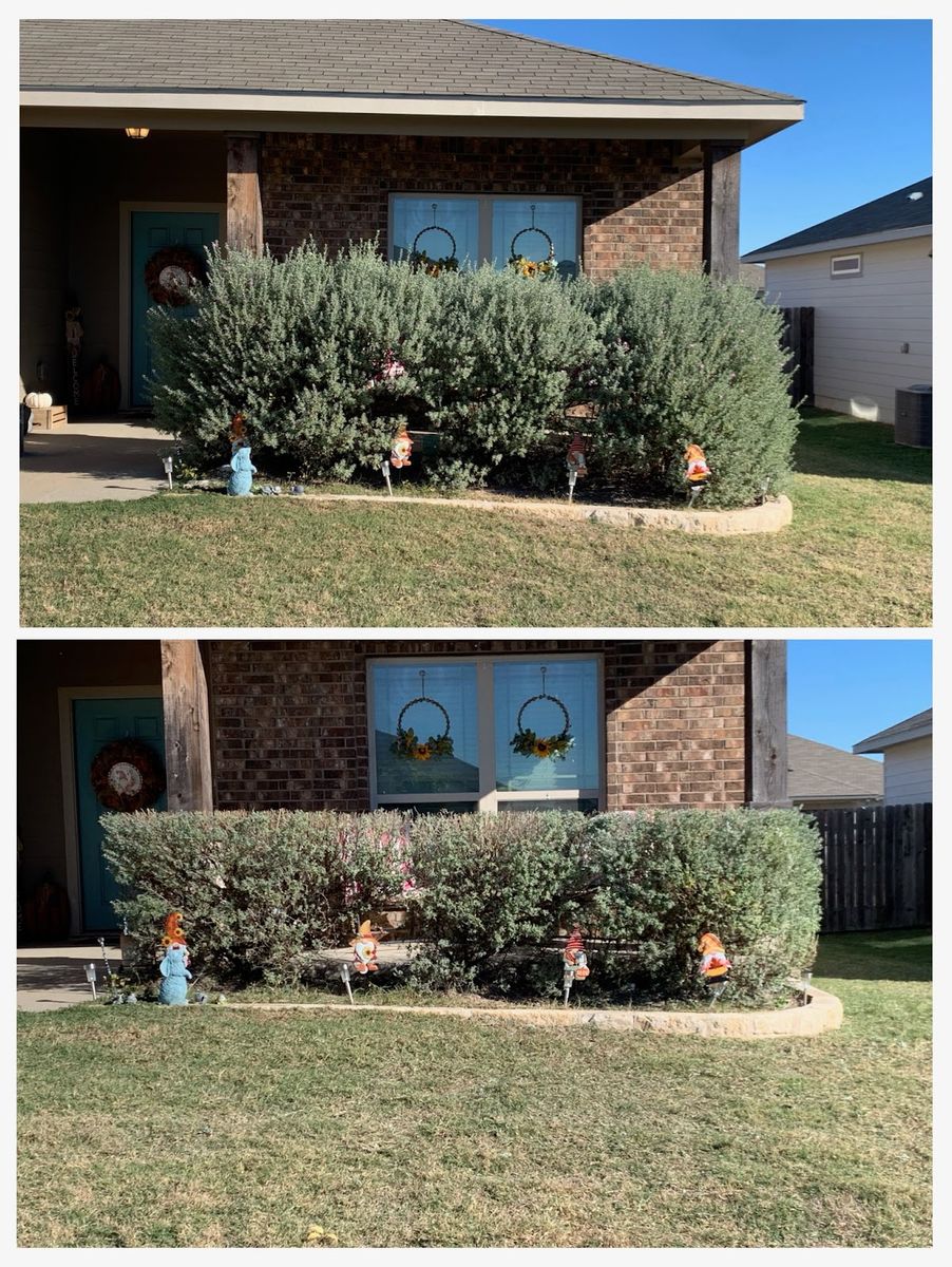 Shrub Trimming for Scalpel Lawn Service in Temple, TX