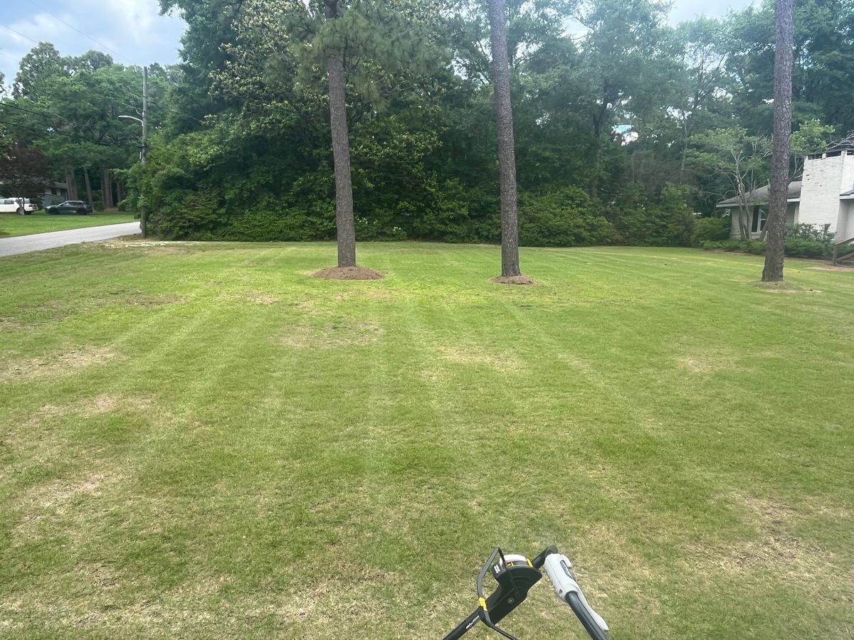 Lawn Maintenance for All-Star Lawn Care & Soft Washing in Mobile, AL
