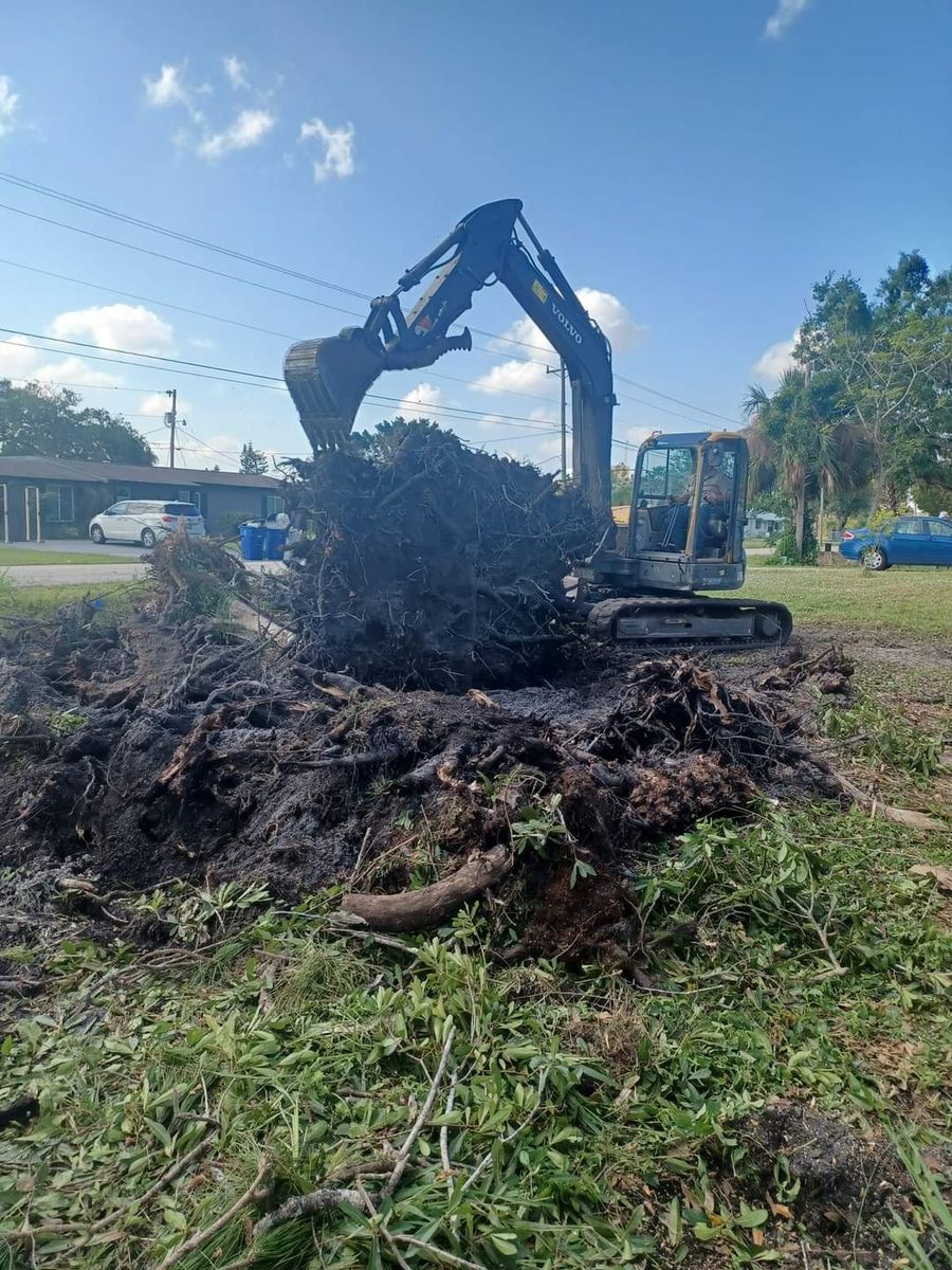 Tree Removal for Advanced Landscaping Solutions LLC in Fort Myers, FL