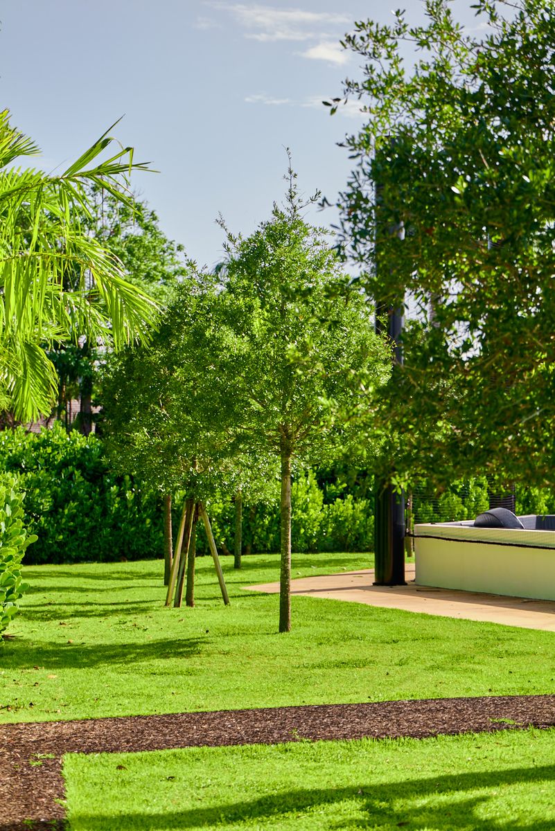 Landscaping for Arazoza Brothers Corporation in Miami, FL