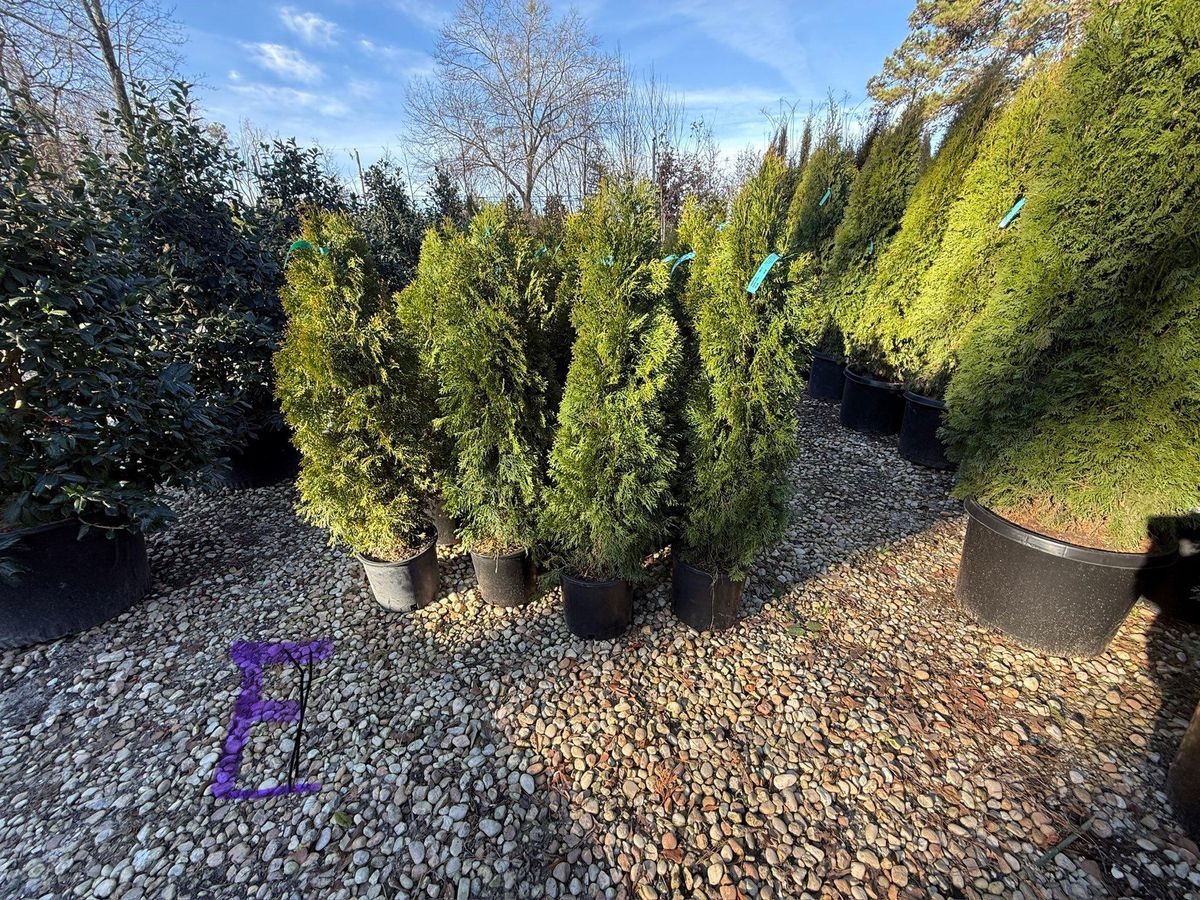 🌿 Landscape Design for GA Lawn Care Pros in Jefferson, GA