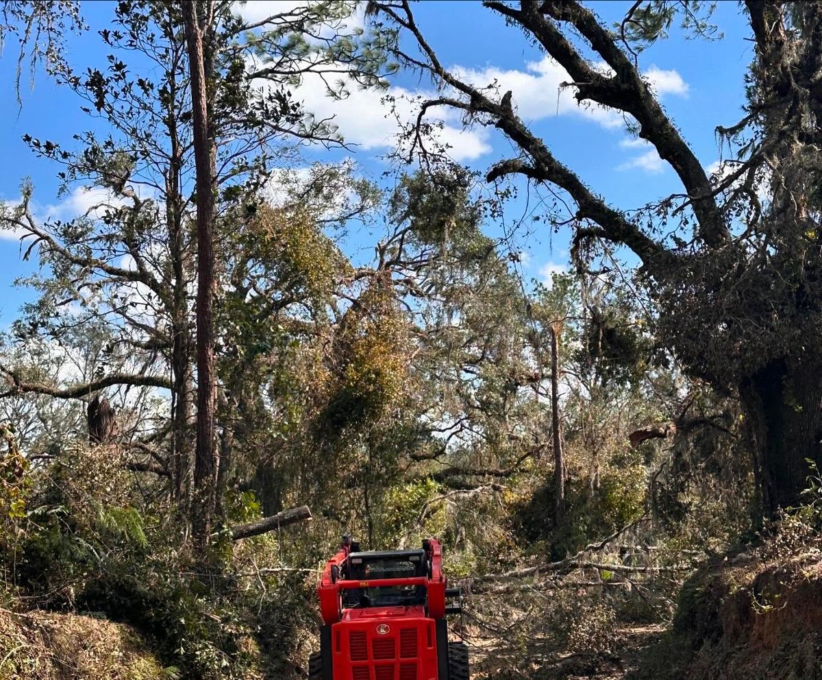 Skid Steer Work for C&C Excavating in Live Oak, FL