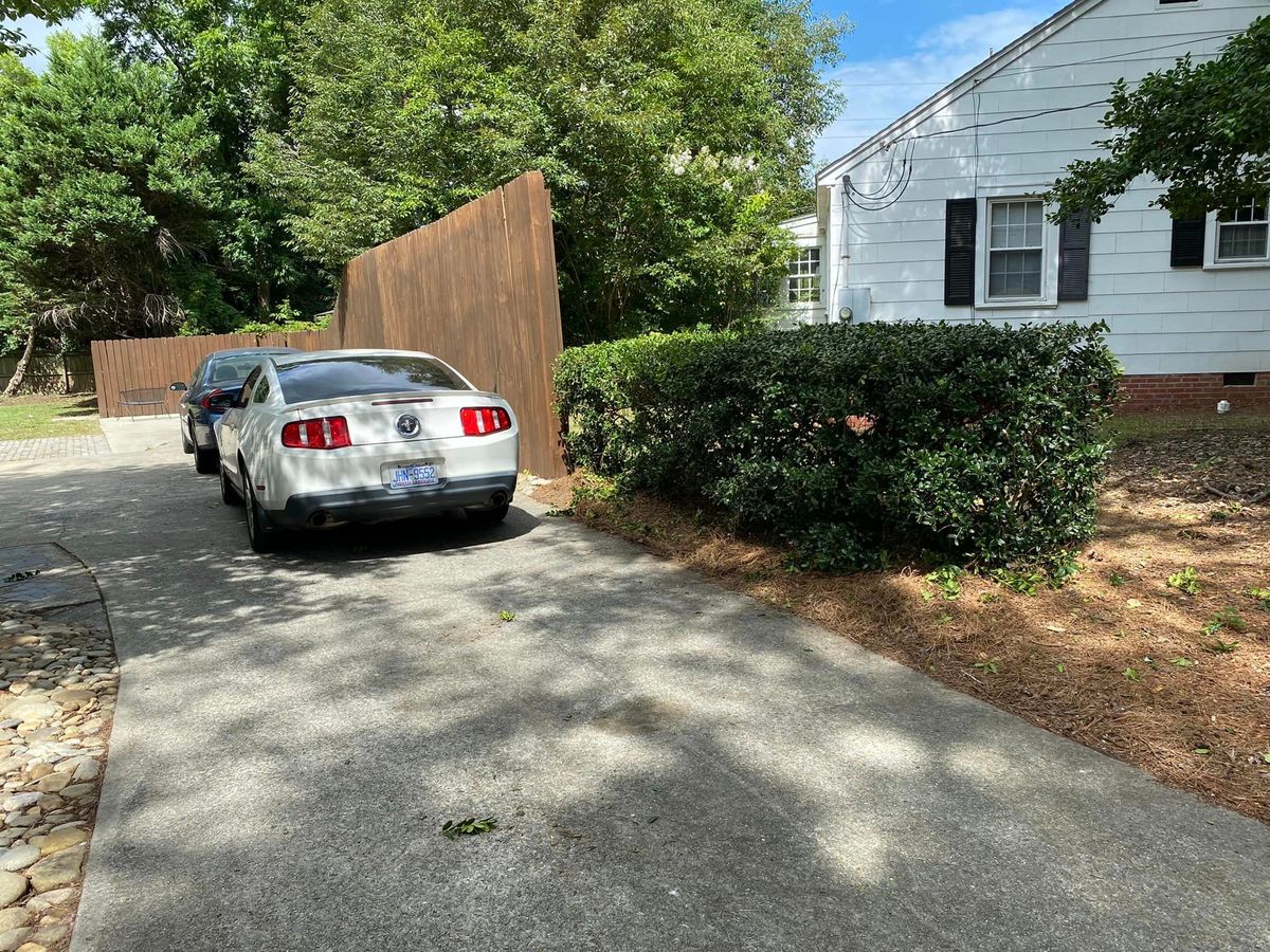 Shrub Trimming for Marco's Lawn Care LLC in Greenville, NC