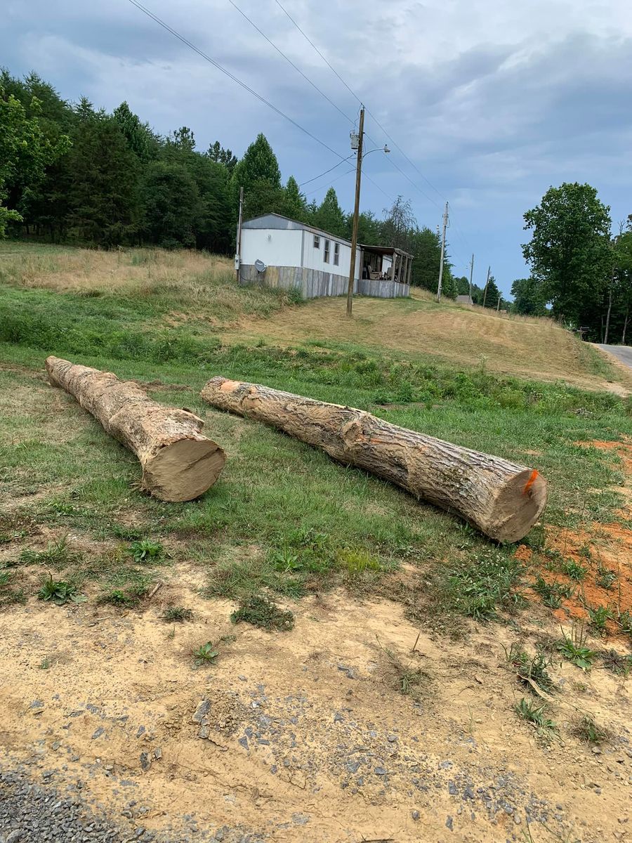 Tree Removal for Brocks Tree Service LLC in Rogersville, TN