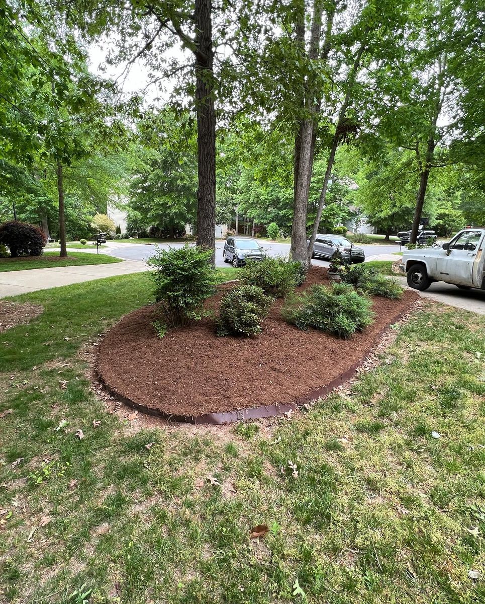 Tree & Shrub Care for Wake & Franklin Grounds Maintenance in Raleigh, NC