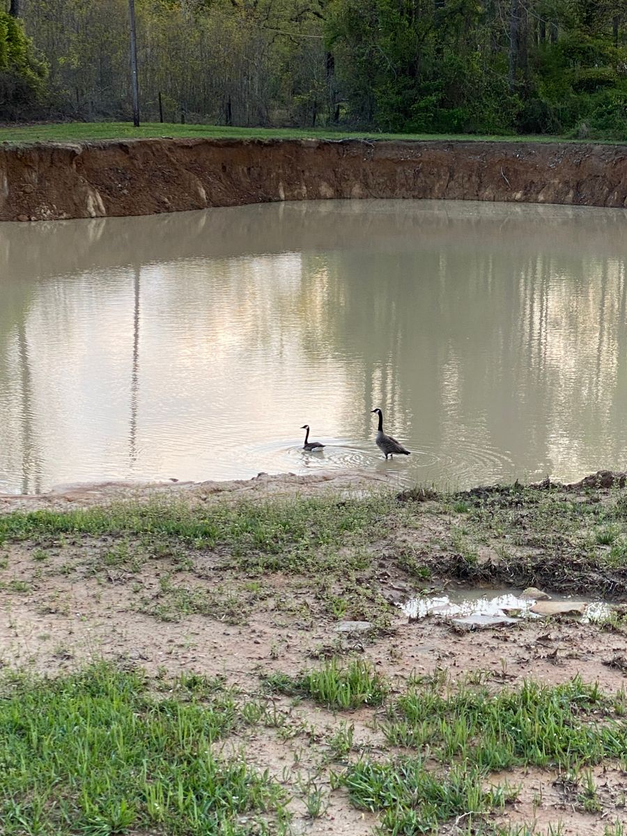 Pond Building for Daniel's Dumpsters & Land Improvements in Monroe, LA