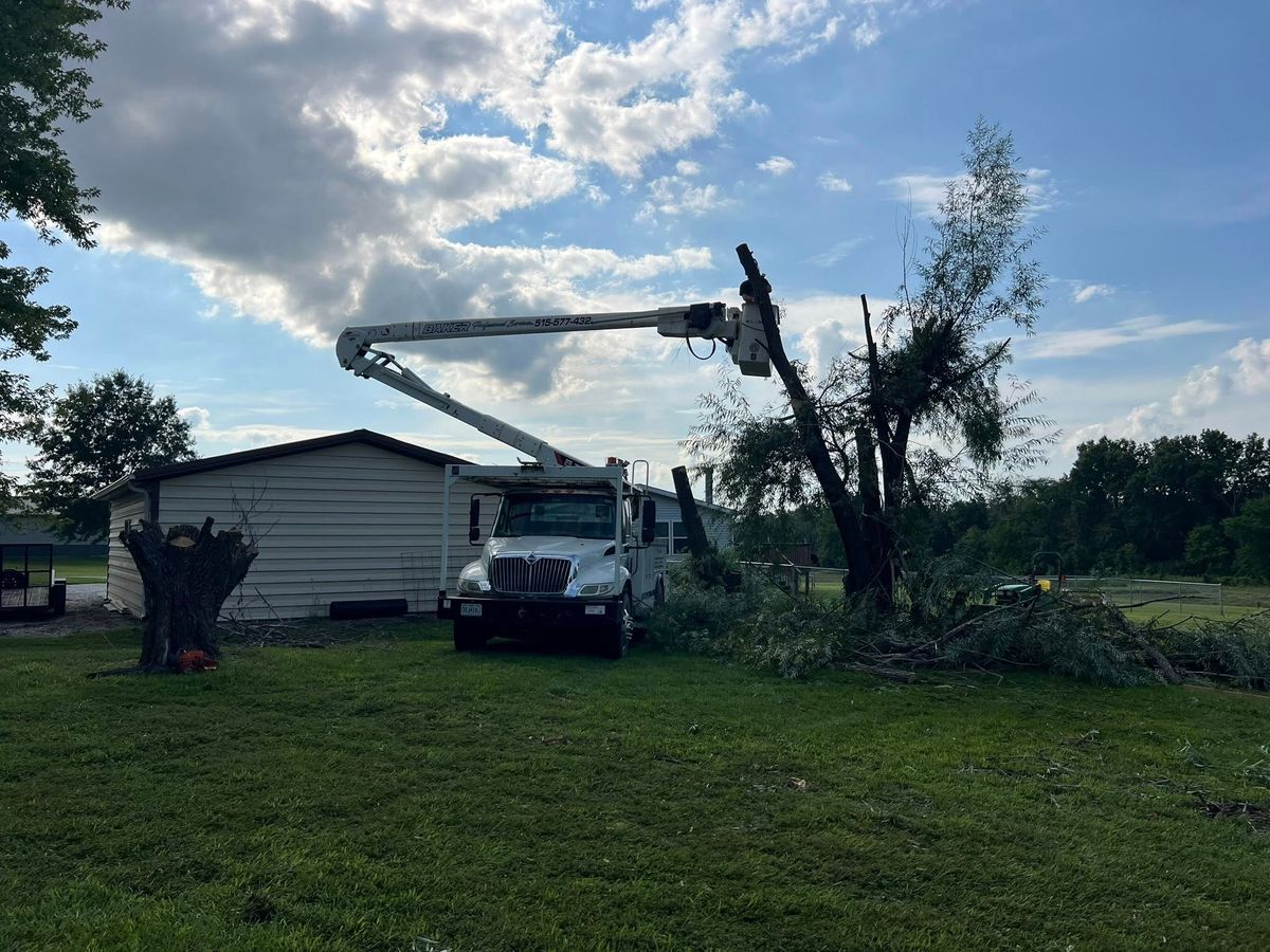 Tree Trimming for Baker Professional Services LLC in Shelbina, MO