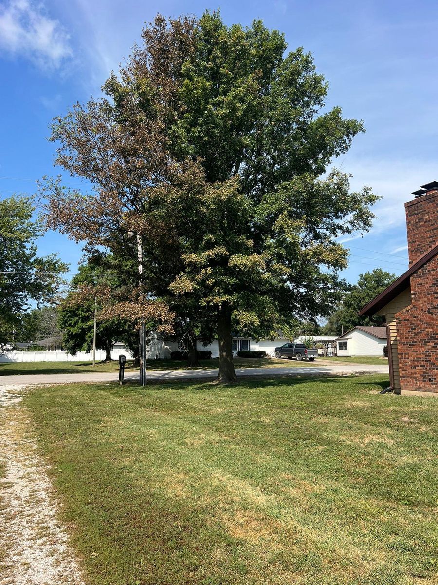 Tree Removal for Baker Professional Services LLC in Shelbina, MO