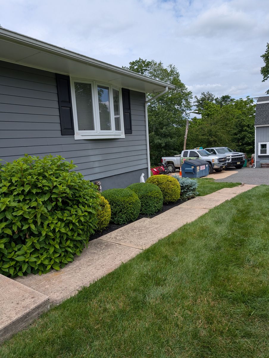 Privacy Plantings for Ettere Landscape Services in Flemington, NJ