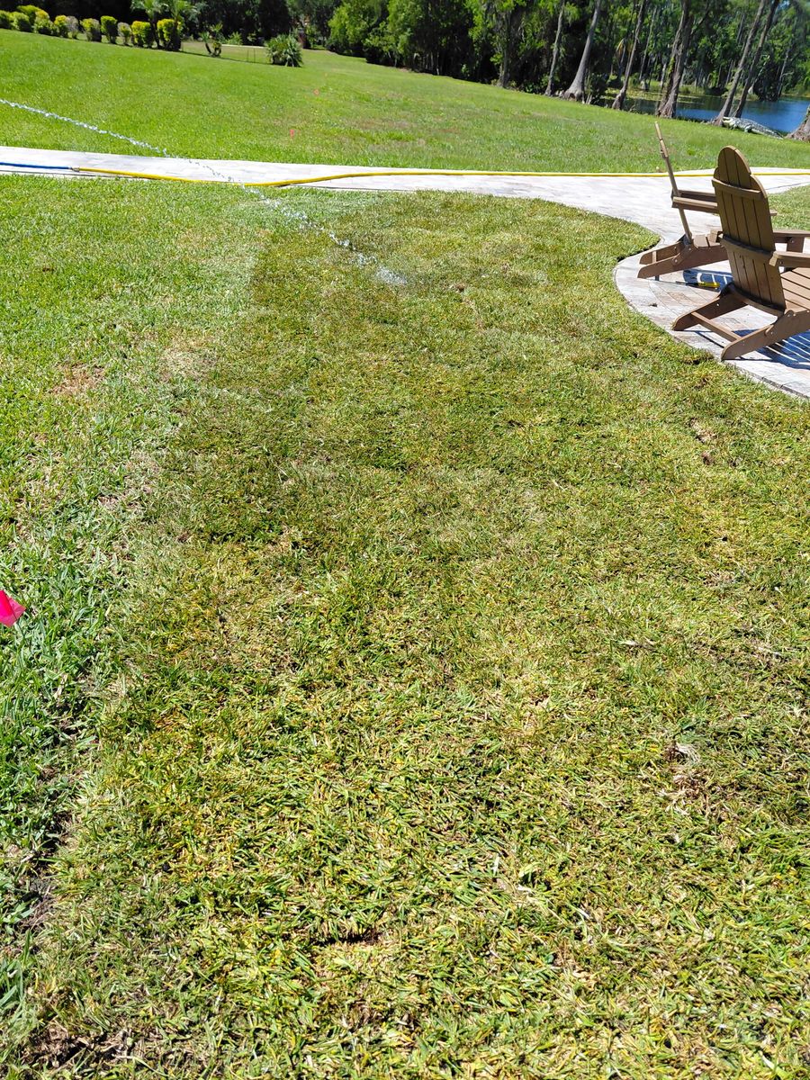 Resod Specialist for Gulf Bay Sod in Clearwater, FL