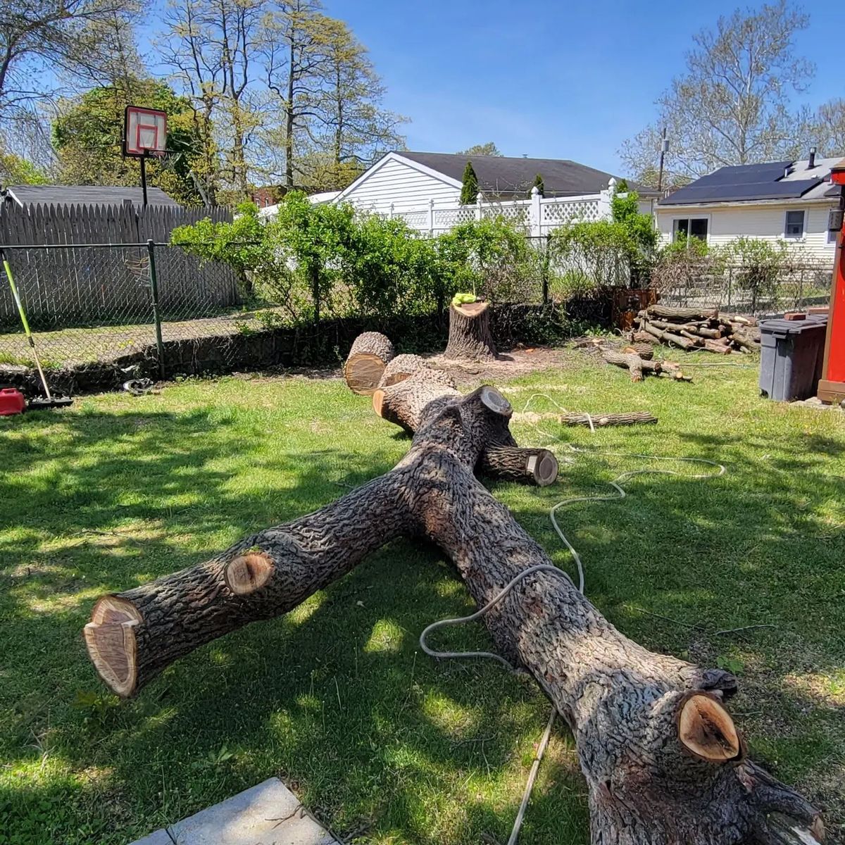 Tree Removal for Timber Arts Tree Service in Lindenwold, NJ 