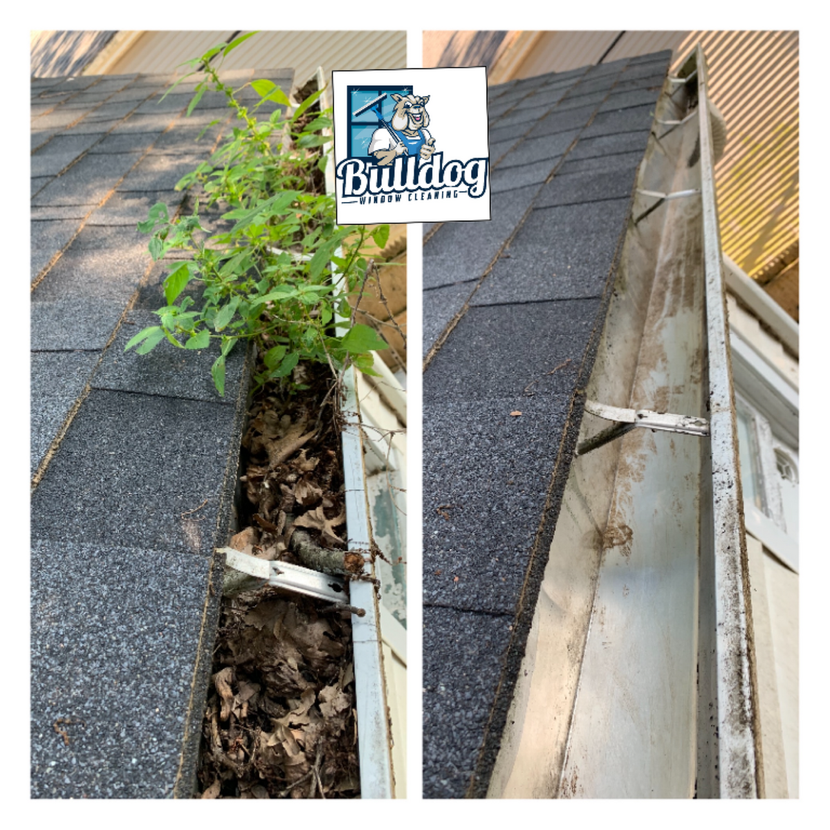 Gutter Cleaning for Bulldog Window Cleaning in Walworth County, Wisconsin