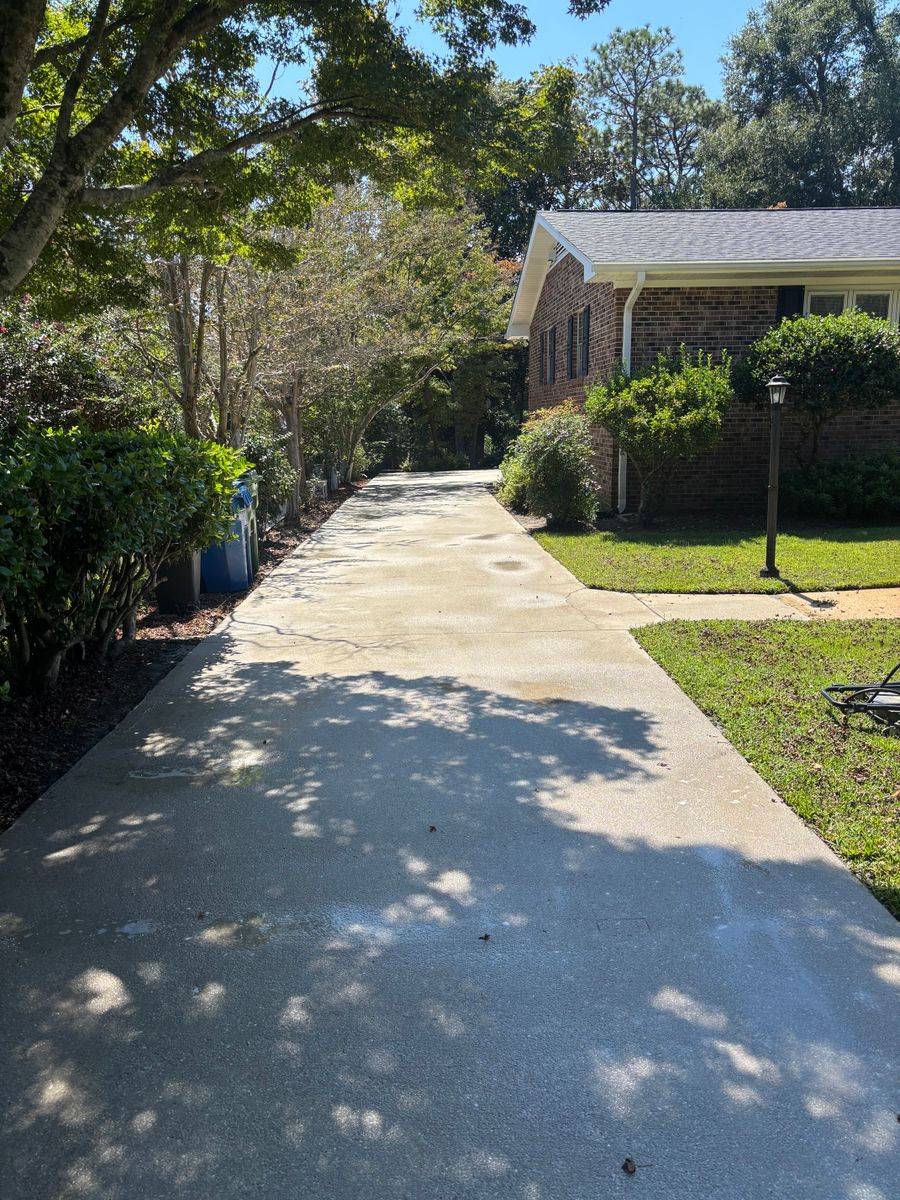 Home Softwash for Living Stream Pressure Washing in Wilmington, NC