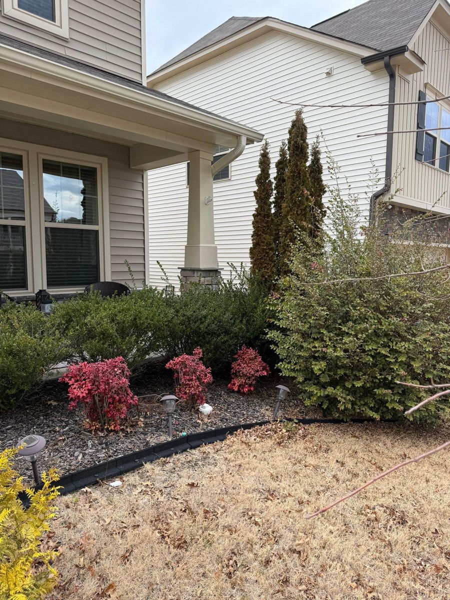 Shrub Trimming for Done2Day LLC in Wake Forest, NC